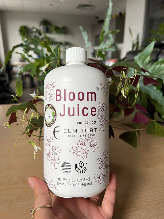 Elm Dirt Bloom Juice