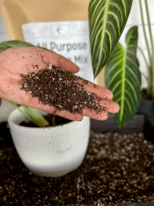 Elm Dirt All-Purpose Potting Mix