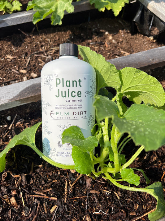 Elm Dirt Plant Juice