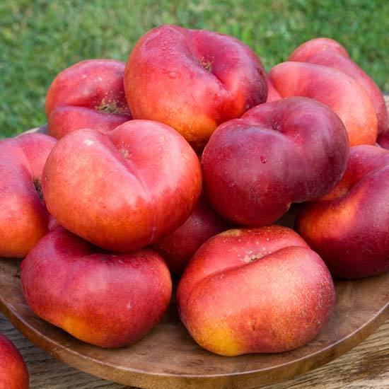 Sauzee King White Nectarine