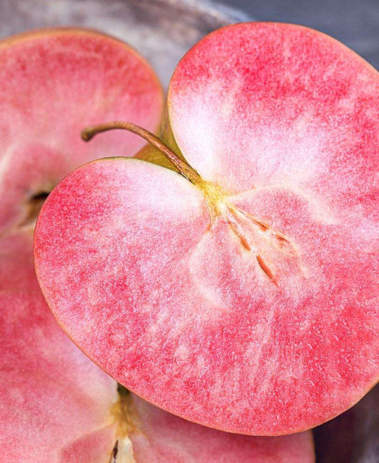 Almata Apple