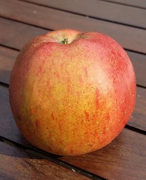 Melrose Apple