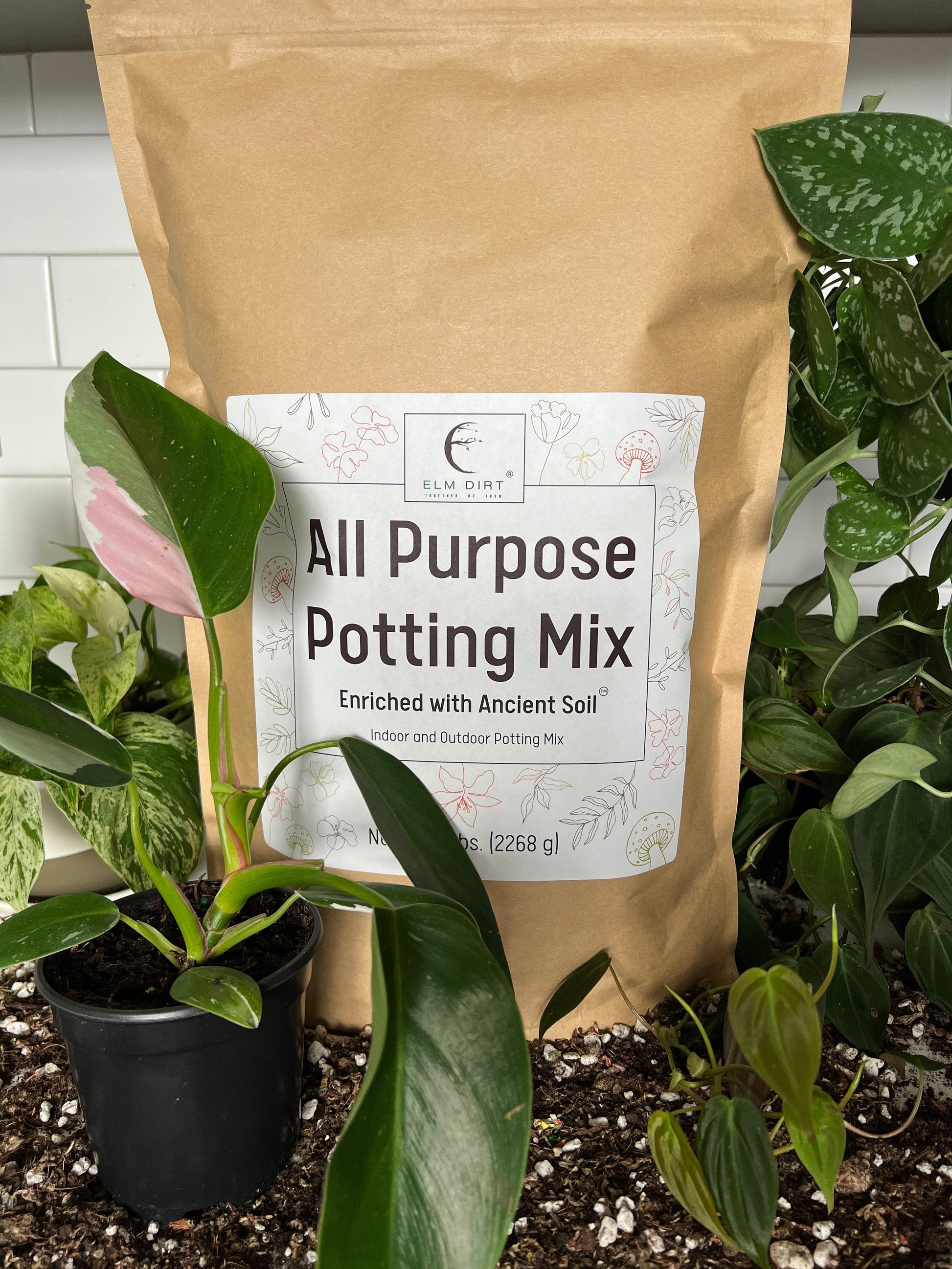  Elm Dirt All-Purpose Potting Mix