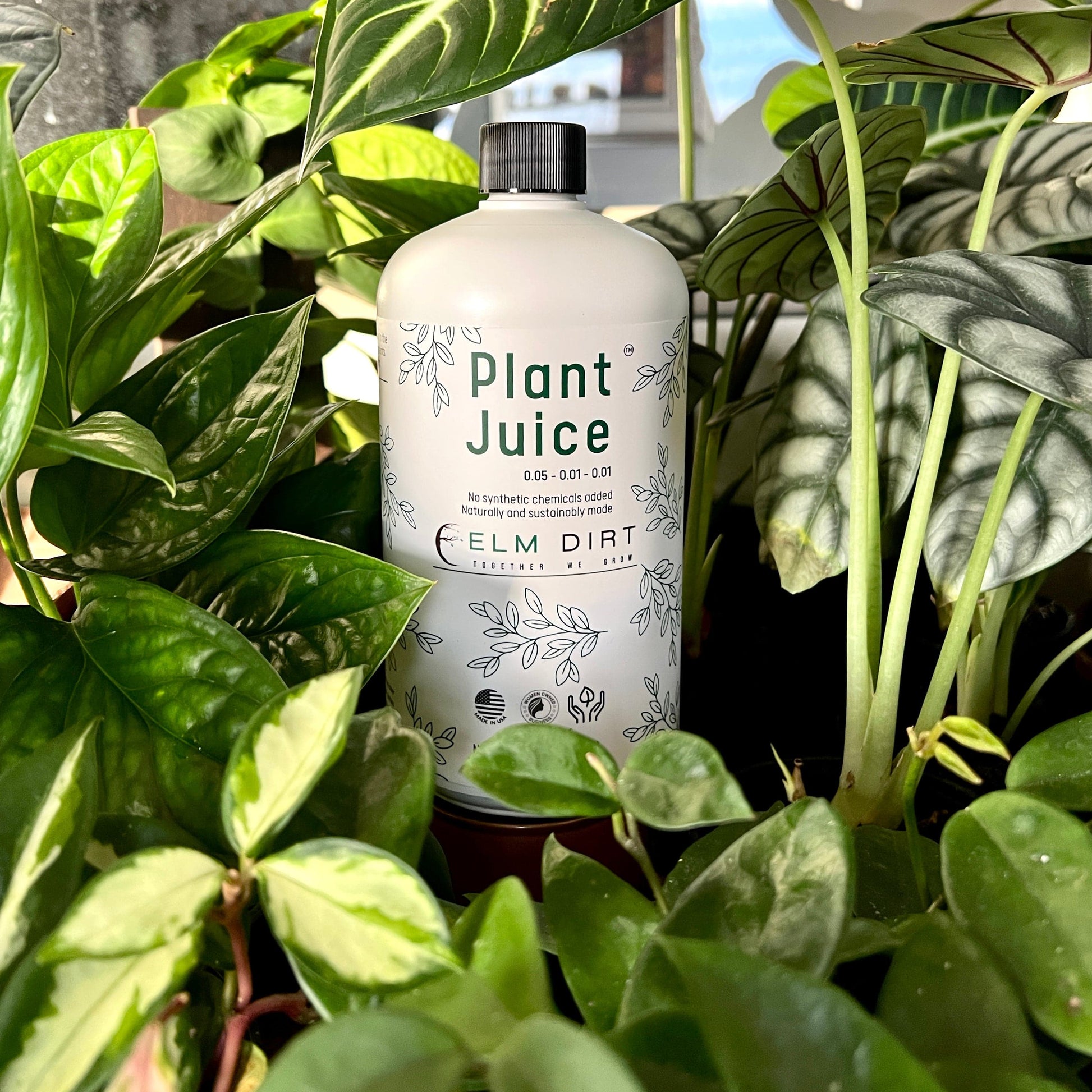  Elm Dirt Plant Juice