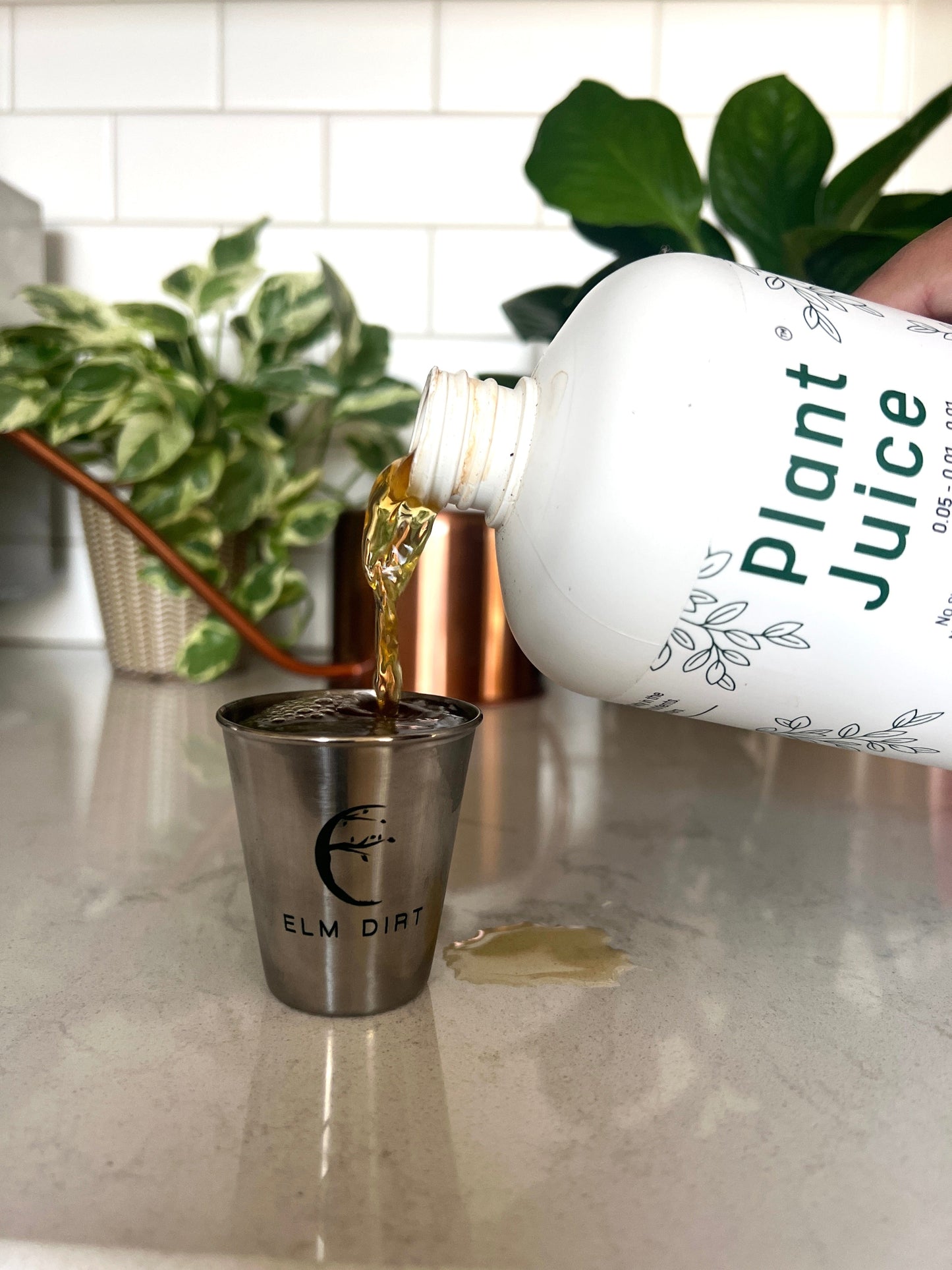  Elm Dirt Plant Juice