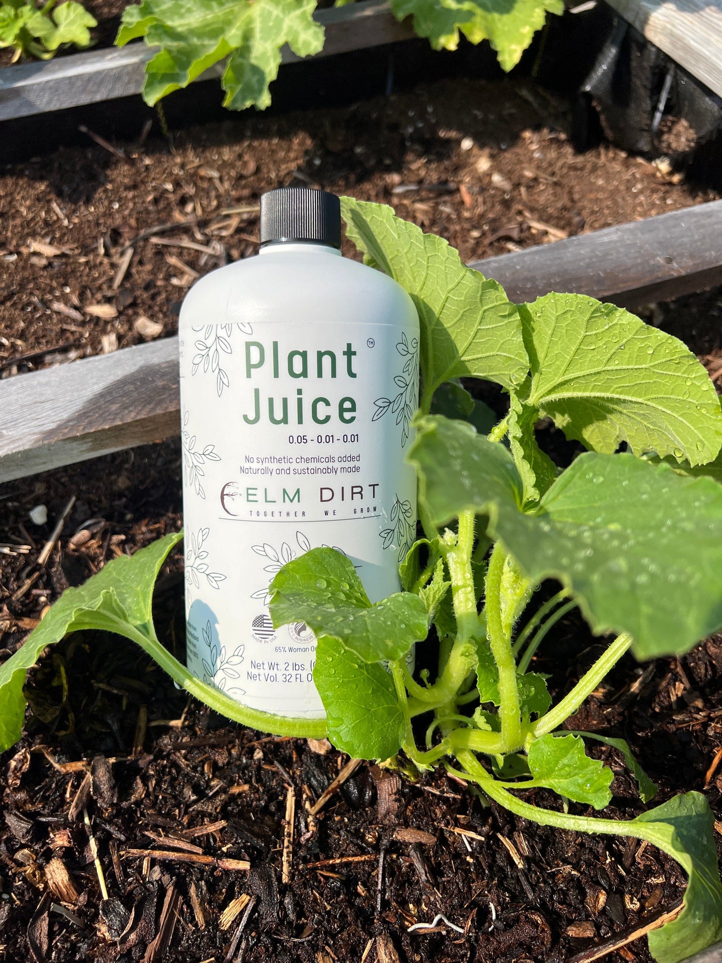  Elm Dirt Plant Juice