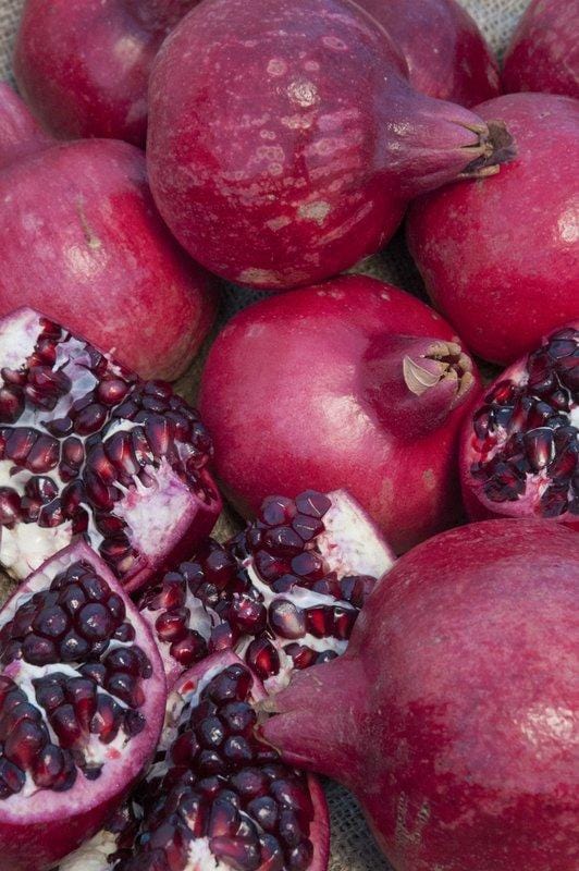  Parfianka Pomegranate