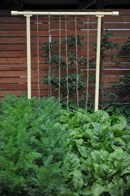  Freyr Trellis By Seattle Urban Farm Company