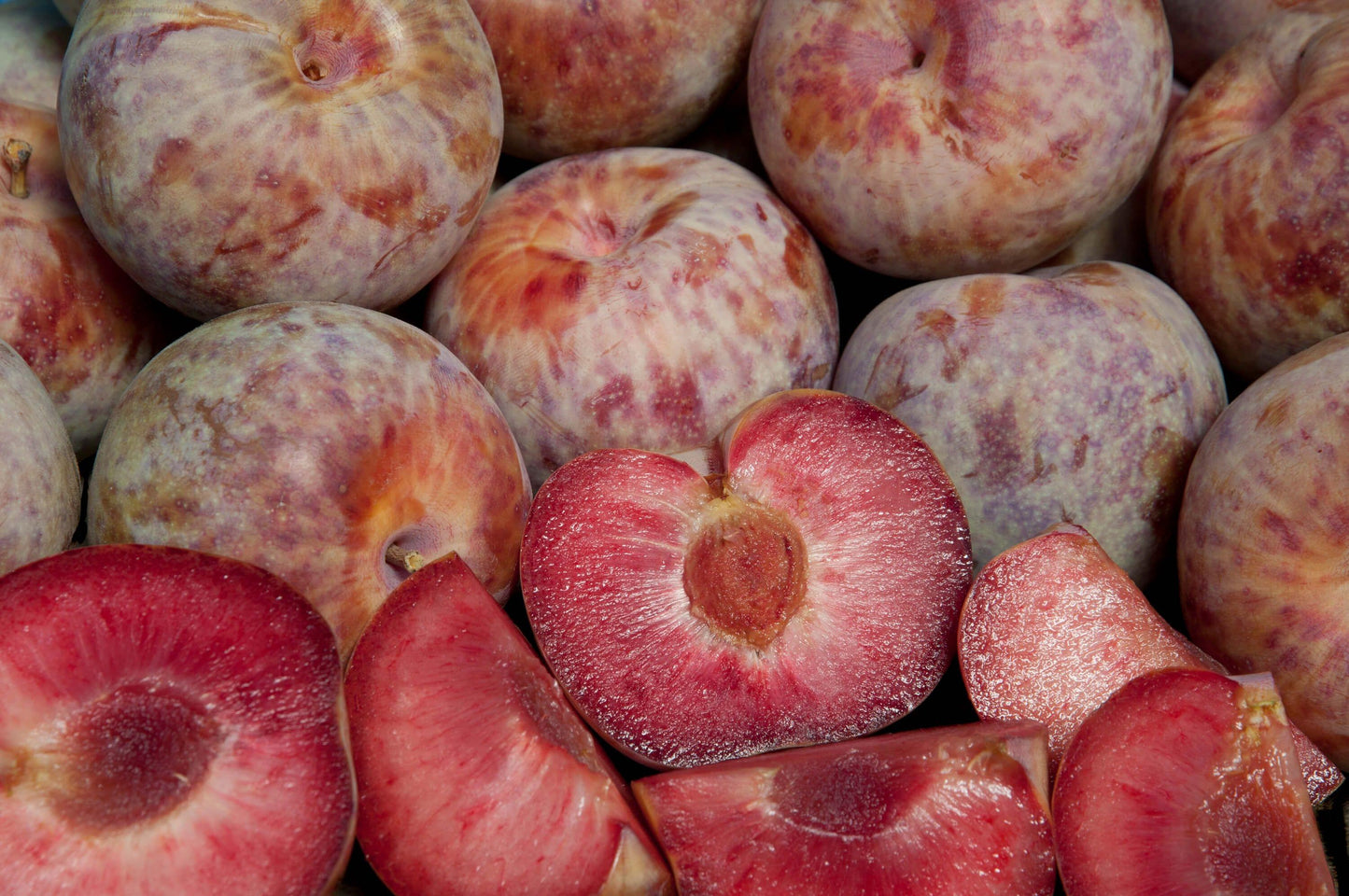  Combo Pluot Tree (4 Varieties)