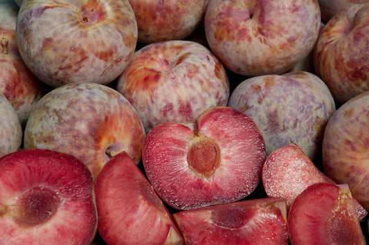  Combo Pluot Tree (4 Varieties)