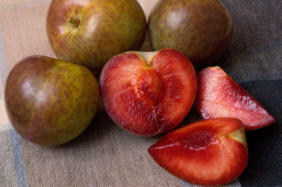  Combo Pluot Tree (3 Varieties)
