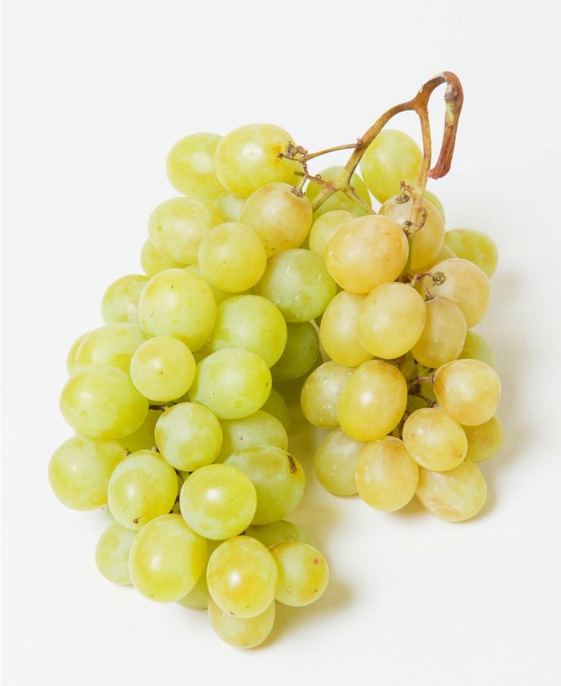  Himrod Seedless Grape
