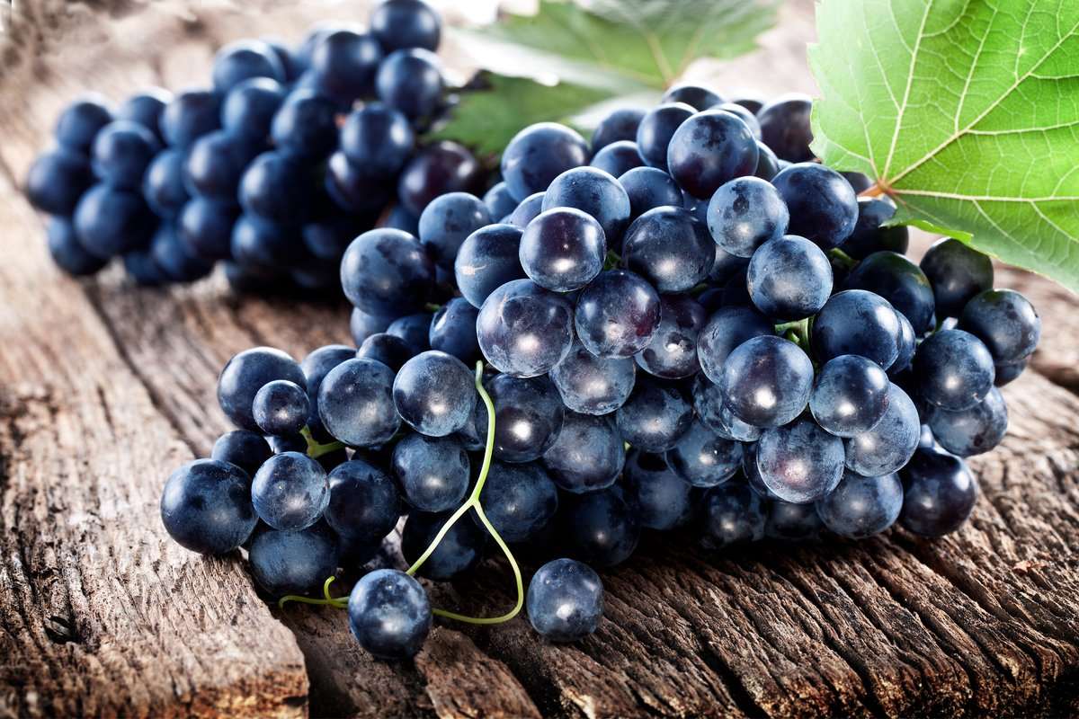  Rondo Grape