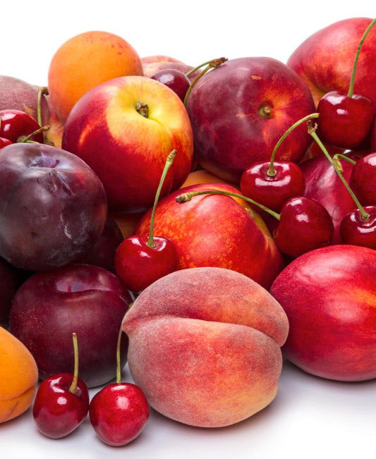  Fruit Cocktail (4 Varieties)