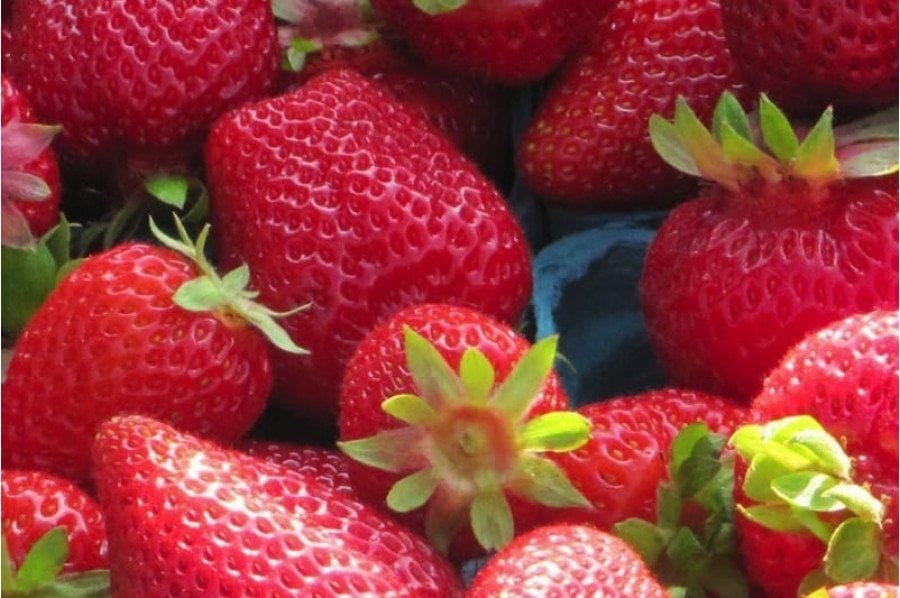 Totem Strawberry