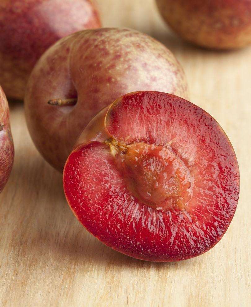  Combo Zee Sweet Pluot Tree (4 Varieties)
